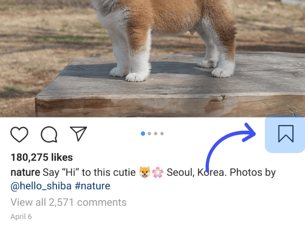 Save and Create a Collection of Your Favorite Instagram Posts
